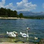 Daire Lucija *