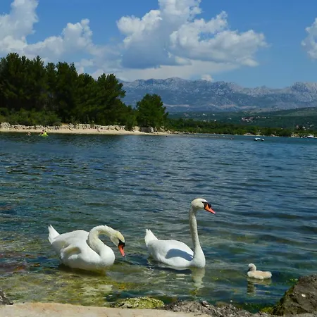Apartmán Lucija *