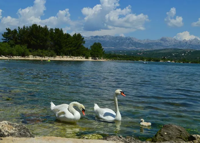 Apartament Lucija *