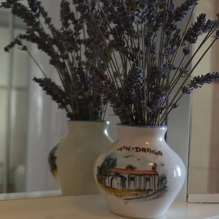 Lucija Appartement *